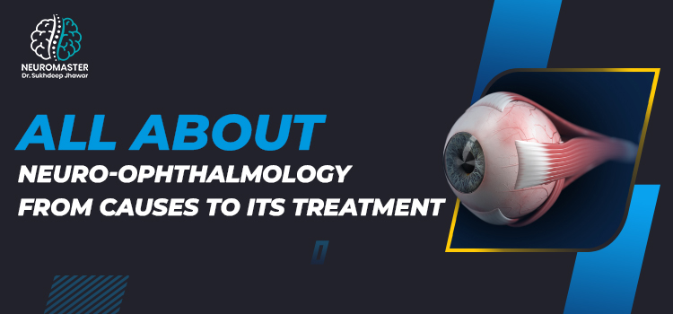 Neuro-Ophthalmology: Everything You Need To Know About It